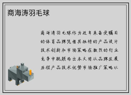 商海涛羽毛球
