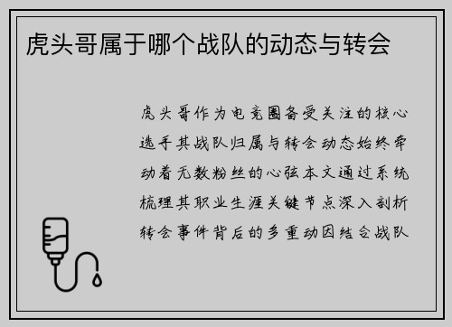 虎头哥属于哪个战队的动态与转会